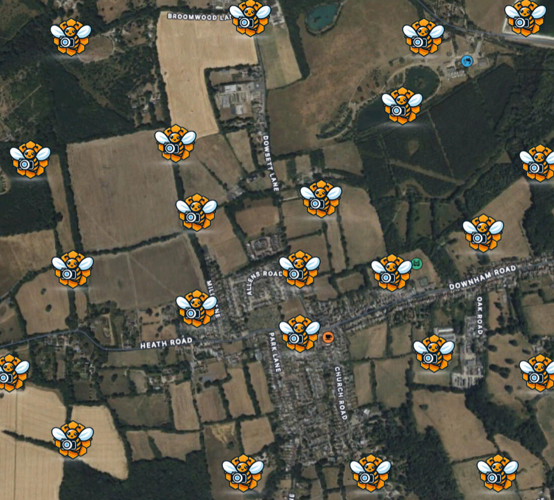 Bee widespread monitoring and trends observation in the United Kingdom