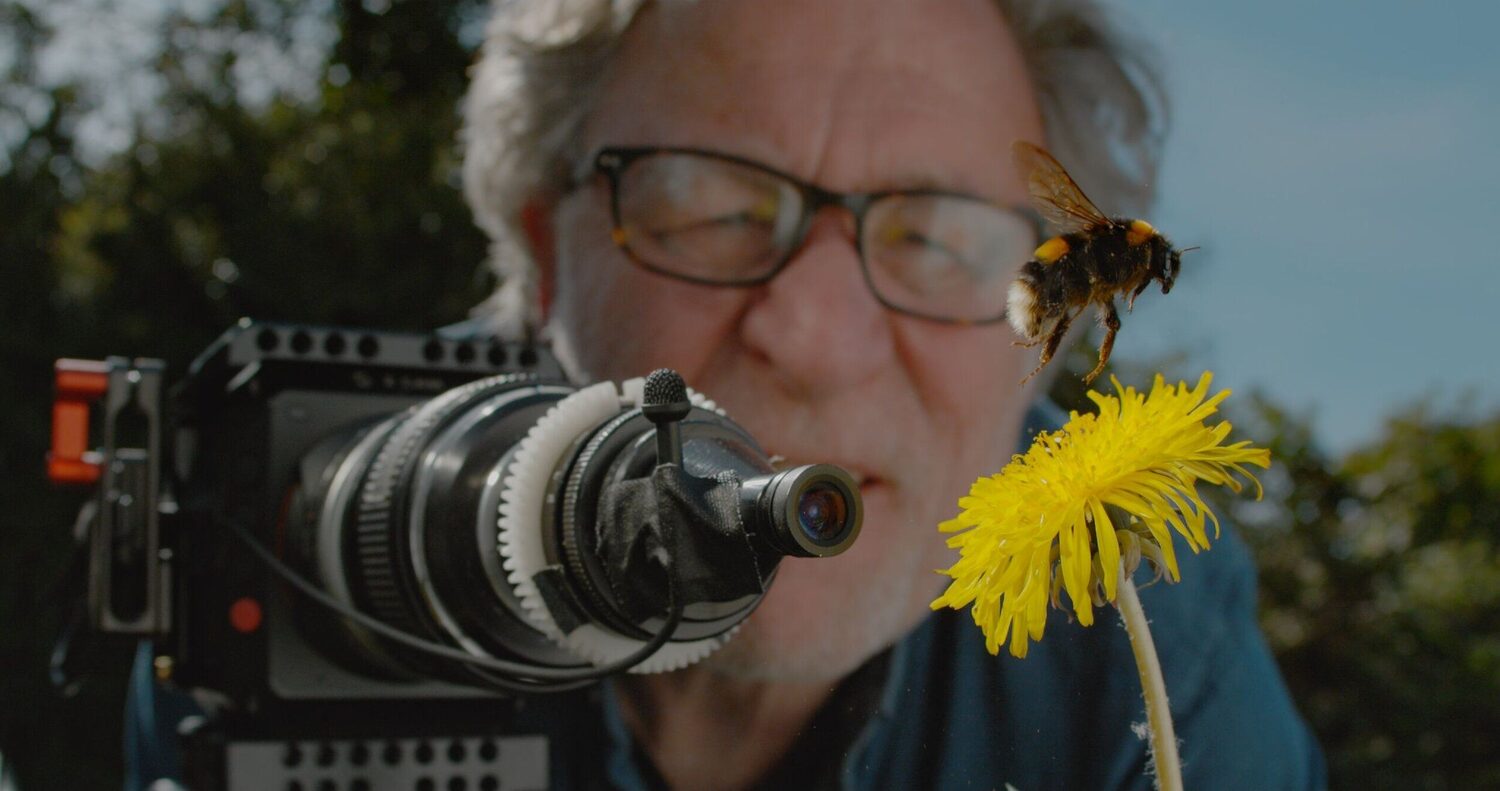 Martin Dohrn filming bumblebee for My Garden of a Thousand Bees documentary about pollinator identification