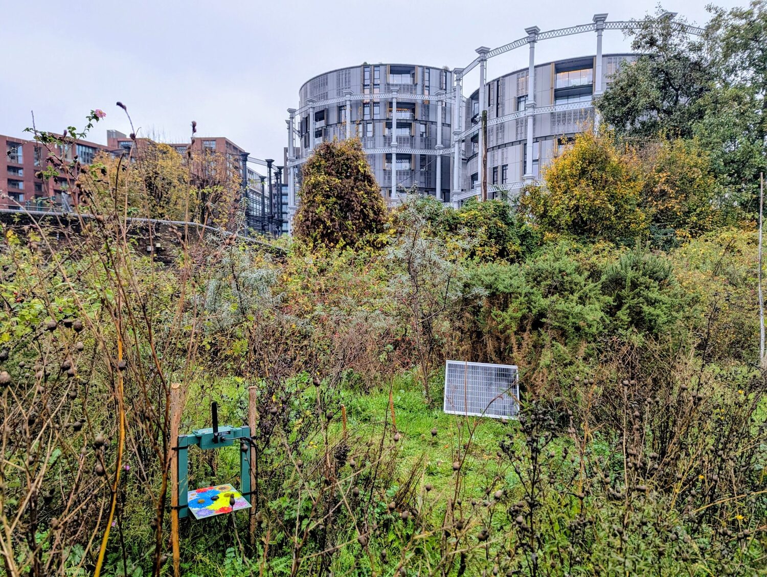 Sensibee automated pollinator monitoring device in King’s Cross urban green space