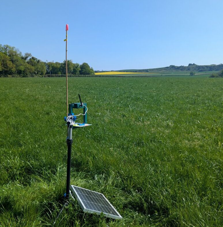 Sensibee automated insect monitoring device deployed at University of Reading farmland pollinator research site